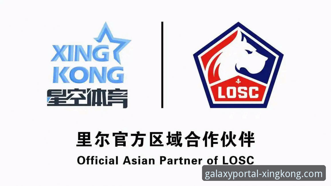 星空体育APP官网2026最新版本 星空体育APP官网2026最新版本下载与使用详解