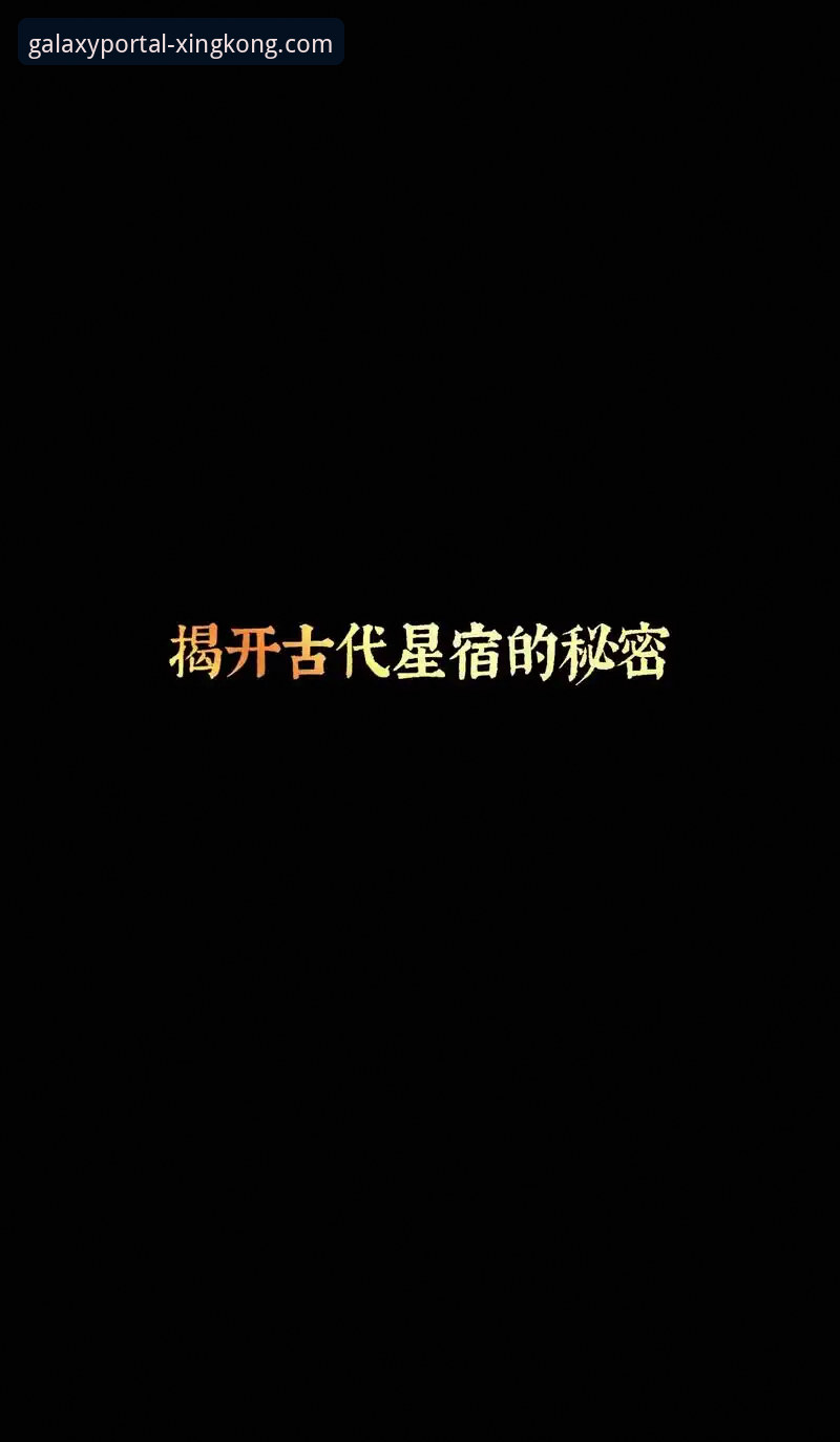 星空官网入口地址安全吗 星空官网入口地址安全吗?2024年最新动态与深度解析