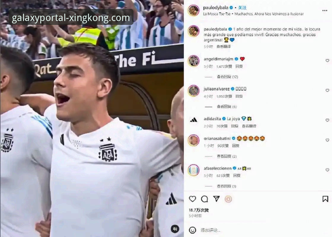 阿根廷世界杯前折损大将的3个关键数据与深度分析