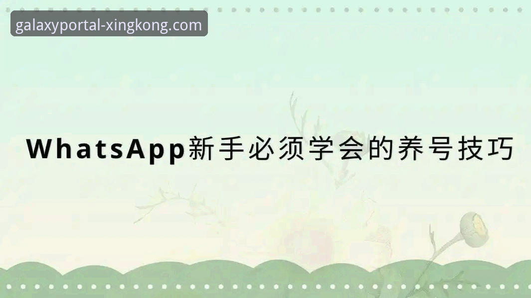 星空APP使用教程功能详解 深度揭秘:星空APP使用教程功能详解——你所不知道的高效操作技巧